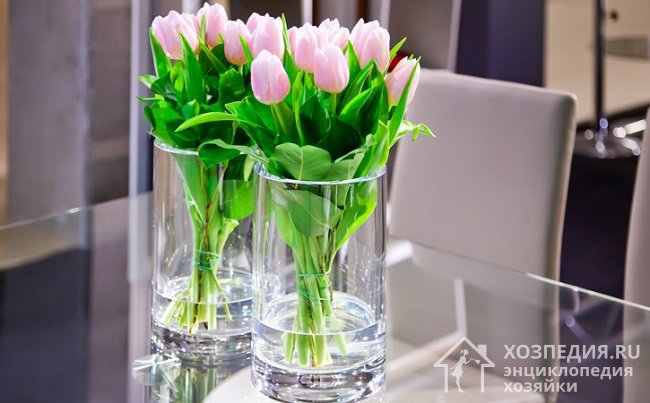 Сколько нужно наливать воды в вазу для различных цветов