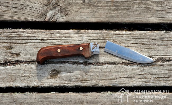 Поломанный нож как следствие неудачной заточки