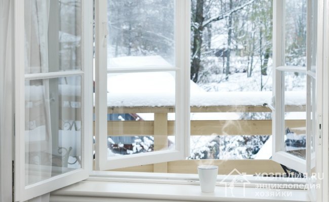 Очистить квартиру от насекомых можно просто открыв на 1-2 дня окна в морозную погоду
