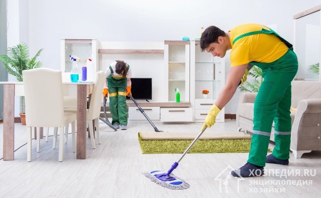 Дабы избежать разведения жуков-кожеедов, поддерживайте чистоту в квартире – регулярно пылесосьте ковры и мягкую мебель, вытирайте пыль, проводите влажную уборку с использованием специальных моющих средств