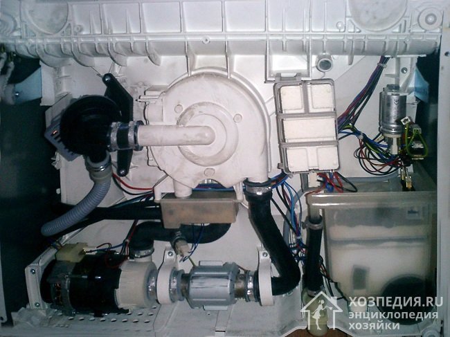 Сливной и циркуляционный насосы посудомоечной машины (вид снизу)