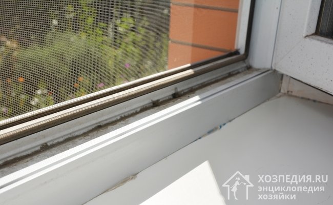 Появлению пятен на шторах и тюли способствует уличная и комнатная пыль, которая оседает на подоконнике