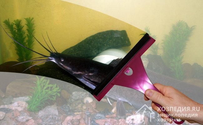 Очистить наружные стенки аквариума поможет скребок для окон с резиновым наконечником