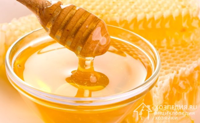 Чтобы мед как можно дольше радовал целебными свойствами, его надо правильно хранить