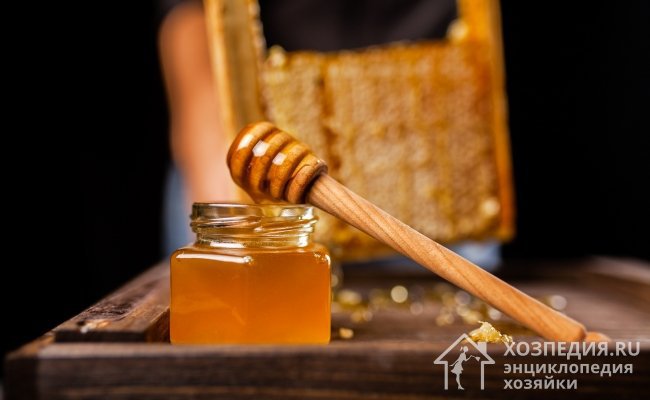 Подбирая температурный режим для сбережения продуктов пчеловодства, ориентируйтесь на природные условия их хранения