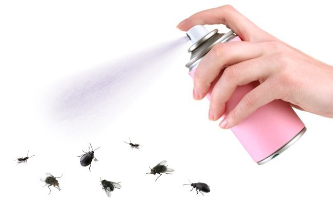 Кроме покупных ловушек для насекомых, в продаже можно найти специальные аэрозоли-репелленты