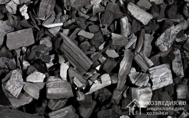 Древесный уголь можно использовать в качестве абсорбента запаха краски