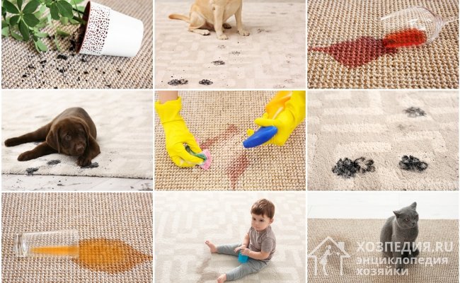 В доме, где есть животные и дети, крайне сложно избежать пятен на ковролине. Для качественной очистки покрытия используйте подходящие средства, учитывая источник загрязнения