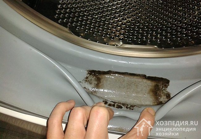 Перед тем как убрать манжету в барабан, проверьте ее на наличие плесени и при необходимости почистите