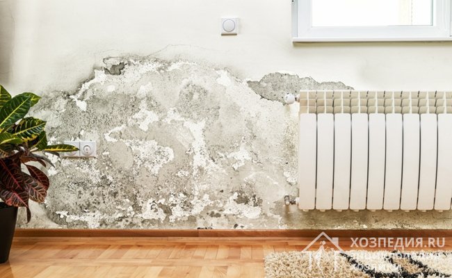 В данной ситуации, чтобы убрать плесень со стены в квартире, необходимо устранить источники протечки воды в системе отопления