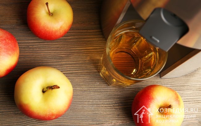 Преимущества шнековых соковыжималок для яблок