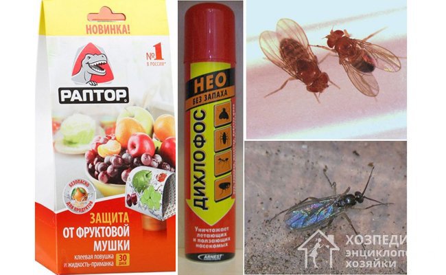 «Дихлофос» – универсальное средство, которое эффективно в борьбе с дрозофилами, мухами и прочими насекомыми в квартире