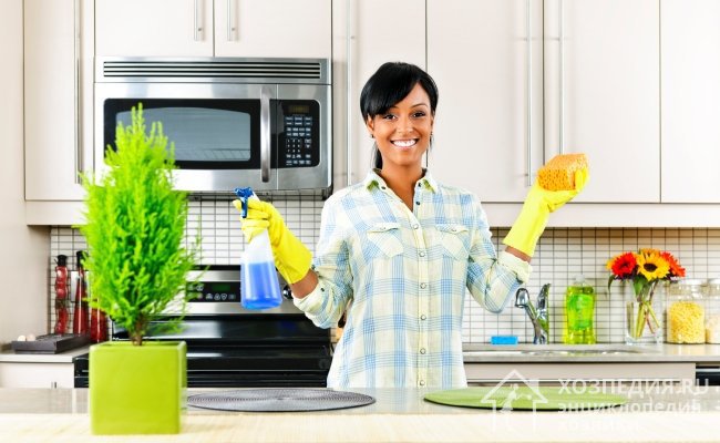 Для профилактики появления фруктовых мушек поддерживайте чистоту в квартире и на кухне, своевременно выносите мусор