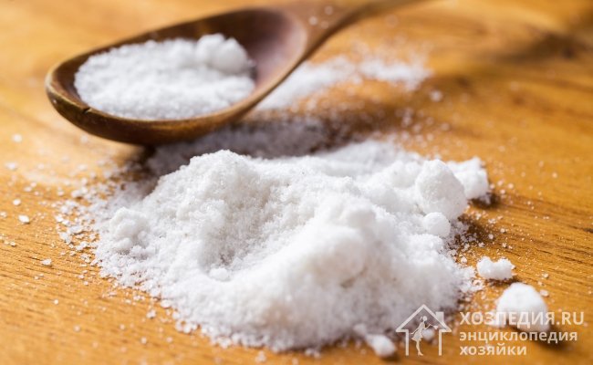 Эффективное средство для борьбы с мокрицами – поваренная соль. Просто рассыпьте ее в местах обитания вредителей и оставьте на несколько дней