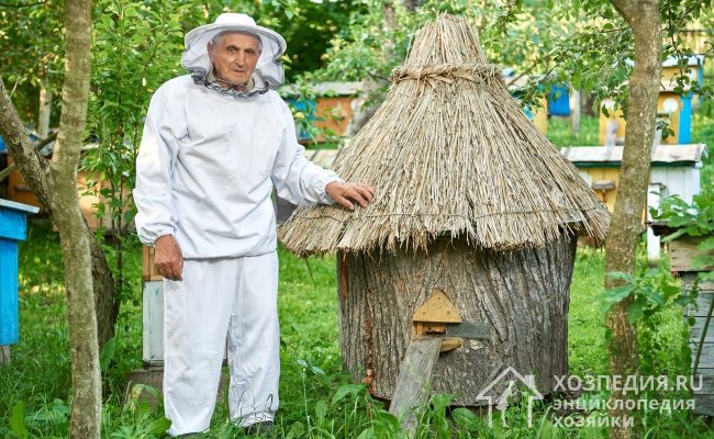 Отправляясь на борьбу с шершнями, наденьте специальный защитный костюм для пчеловодов или плотную одежду, чтобы максимально обезопасить себя от укусов насекомых